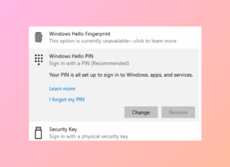 Comment résoudre le problème du code PIN « Hello » grisé sous Windows 11.